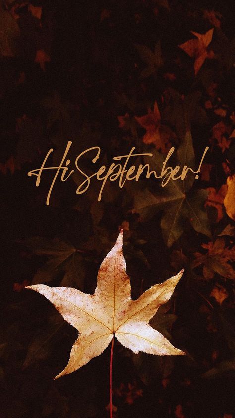 September New Month Wishes, First Day Of September Quotes, Welcome September Images, September Wallpaper Aesthetic, September Welcome, First Of September, Aesthetic September, September Images, September Quotes