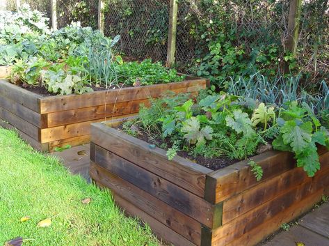 Landscape Showdown: Railroad Ties Vs. Timber - J&W Lumber Railroad Tie, Wooden Raised Garden Bed, Railroad Ties, Landscape Timbers, Raised Bed Garden Design, Building Raised Garden Beds, Vegetable Garden Raised Beds, Building A Raised Garden, Diy Raised Garden