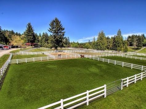 Horse Turnout Paddock, Horse Paddock Ideas, Horse Pasture Ideas, Small Paddock, Paddock Ideas, Homestead Plans, Pasture Shelter, Dream Ranch, Pasture Fencing