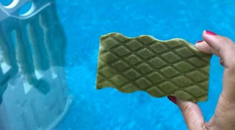 ‘I throw one of these in the skimmer basket and… holla bing holla boom! The cloudiness left and my sponge looks like this.’ – Love What Matters Pool Cleaning Tips, Pool Algae, Crafty Morning, Swimming Pool Cleaning, Green Pool, Pool Hacks, Pool Skimmer, Pool Life, Pool Steps