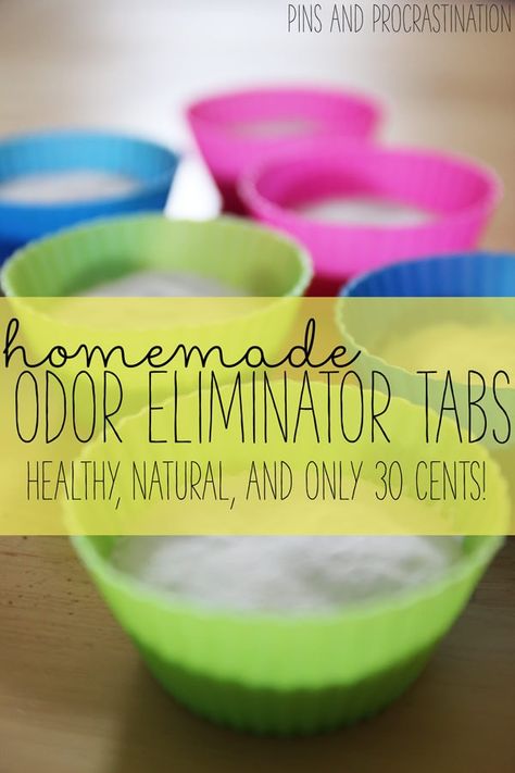 Odor Eliminator House, Odor Eliminator Diy, Pet Odor Eliminator, Natural Cleaners, Pet Odors, Diy Cleaners, Odor Eliminator, Odor Remover, Cleaning Recipes