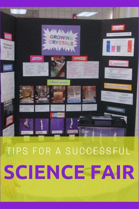 Growing Crystals Science Fair Project, Crystal Growing Science Fair Project, Crystal Science Fair Project, Science Fair Topics, Middle School Science Fair Projects, Science Project Board, Classroom Science Experiments, Elementary Science Fair Projects, Science Fair Board