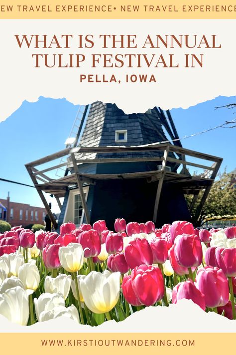 Dutch windmill with tulips in Pella Iowa Pella Iowa, Dutch Heritage, Tulip Festival, Shop Windows, Vacation Usa, Iowa City, City Garden, Vacation Ideas, Travel Experience