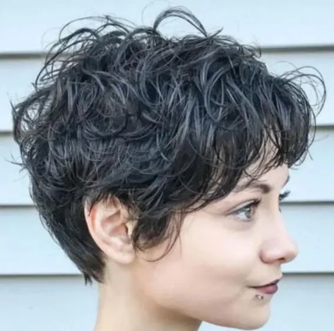 16 Short Shaggy Hairstyles You Should Rock This Summer Cut Curly Hair, Short Pixie Hairstyles, Short Textured Hair, Curly Pixie Hairstyles, Short Curly Pixie, Curly Pixie Haircuts, Short Shag Haircuts, Shaggy Short Hair, Short Shag Hairstyles