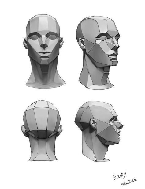 Human Muscles, Planes Of The Face, Head Anatomy, Face Structure, Face Anatomy, Anatomy Sculpture, 얼굴 드로잉, Human Anatomy Drawing, 얼굴 그리기