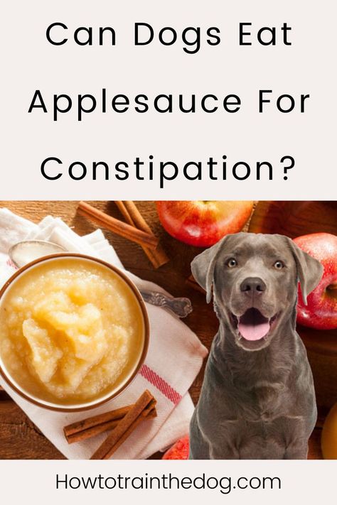 Is Applesauce Good For Dogs? Can Dogs Eat Applesauce For Diarrhea? And Can Dogs Eat Applesauce For Constipation? #candogseat #dogcare #dogfood Dog Health Care Natural Remedies, Constipated Dog Home Remedies, Constipation Relief For Dogs, Dog Constipation Remedies, Constipation In Dogs, What To Feed Dogs, Constipated Dog, Foods To Help Constipation, Foods That Cause Constipation