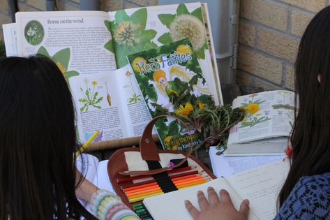 Studying Herbal Medicine Resources for Young and Elementary Aged Kids. – Blackbird's Backyard Pharmacy Earth Activities, Botanical Sketchbook, Nature Words, Kids Part, Plant Medicine, Medicine Book, Homeschool Learning, Science Fair Projects, Plant Identification