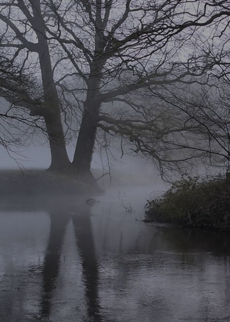 source.gif (500×700) Aviv Grimm, Wallpaper Indian, Foggy Mountains, Book Background, Night Forest, The Fog, Nature Gif, Dark Places, Dark Photography