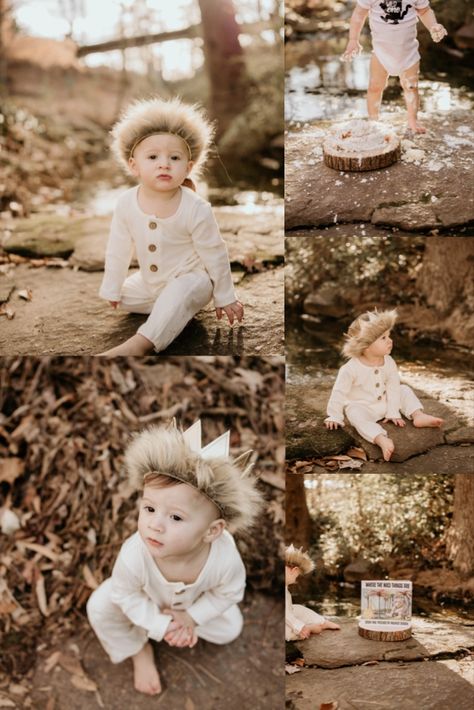 Wild One Theme Photo Shoot, Wild One Birthday Photo Shoot, Wild One Outdoor Photoshoot, Wild One Photoshoot, Wild One Smash Cake Photoshoot, Where The Wild Things Are Photoshoot, 1st Birthday Photoshoot, Smash Cake Boy, 1st Birthday Photos