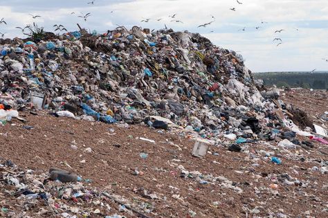 Garbage Dump. Garbage at a rubbish dump in a landfill site with a green,resident , #AFF, #rubbish, #dump, #Garbage, #Dump, #landfill #ad Waste Hierarchy, Garbage Dump, How Can I Sleep, How To Make Compost, Fauna Marina, Environmental Pollution, Plastic Pollution, Boeing 747, Stock Photography Free