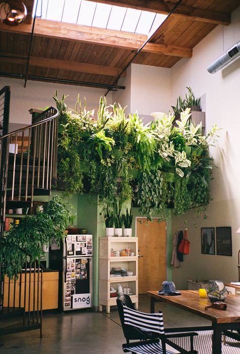 BLOG Tanaman Indoor, Tanaman Pot, Deco Nature, Vertical Gardens, Indoor Gardens, The Ceiling, Style At Home, Vertical Garden, Better Homes And Gardens