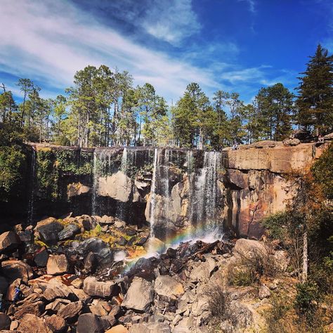 Mexico Aesthetic Wallpaper, Mexico Aesthetic, Durango Mexico, Jungle Forest, Aquatic Ecosystem, Marine Ecosystem, Country Landscaping, Best Places To Travel, Ecosystem