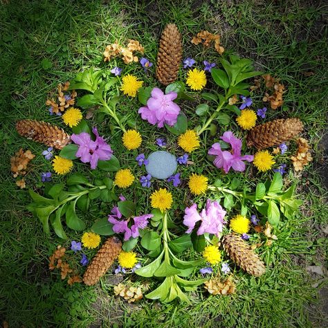 Natural Rangoli, Earth Offerings, Mandala Workshop, Earth Altar, Nature Mandalas, Mandala Nature, Nature Mandala, Earth Art, About Nature