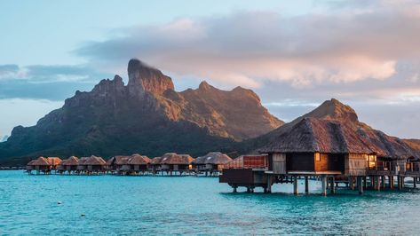 7 Days in French Polynesia, the Unspoiled Hawaii Alternative Bora Bora Hotels, Four Seasons Bora Bora, Tahiti Travel, Bora Bora Honeymoon, Air Tahiti, Bora Bora Resorts, Resort Photos, Bora Bora French Polynesia, Four Seasons Resort