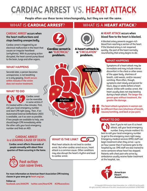 Nurse Study Notes, Parts Of The Heart, Nursing School Notes, Medical School Essentials, Medical Anatomy, American Heart Association, Nursing Notes, Medical Knowledge, Cardiology