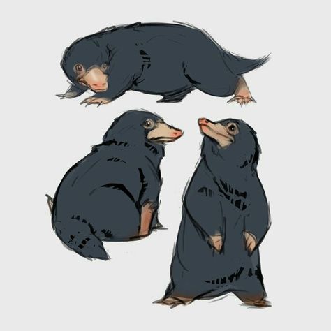 Niffler, by Fennethianell Fantastic Beasts Niffler, Fantastic Beasts Creatures, Taupe Animal, Harry Potter Creatures, Fantastic Beasts Fanart, Beast Creature, Desenhos Harry Potter, Images Harry Potter, Harry Potter Drawings