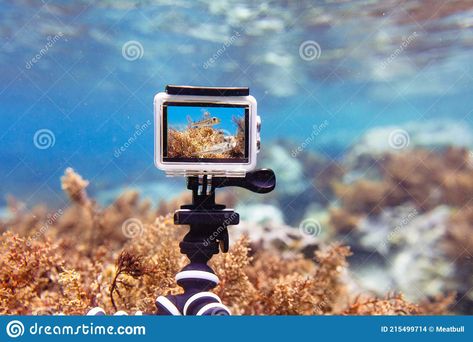 Underwater Camera Housing, Underwater House, Expensive Camera, Underwater Video, Cheap Cameras, Underwater Camera, Waterproof Camera, Perfect Skin Care Routine, Make Photo