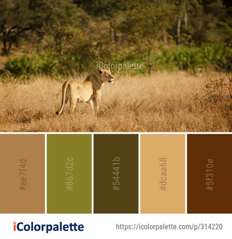 Color Palette Ideas from Wildlife Grassland Ecosystem Image Safari Colors Palette, Safari Theme Color Palette, Safari Wedding Color Palette, African Colour Palette Color Inspiration, Animal Print Color Palette, Wildlife Colour Palette, Animals Color Palette, Savannah Color Palette, Jungle Theme Color Palette