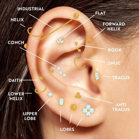 Helix Percinings Ideas, Piercings Labeled, Piercings And Names, Nom Piercing Oreille, Earring Piercing Chart, Earring Placement Chart, Piercing Ear Chart, Piercing Oreille Nom, Earings Piercings Names