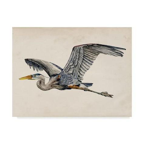 Heron Art, Francisco Goya, Wildlife Paintings, Blue Heron, Art Moderne, Bird Art, Trademark Fine Art, Framed Canvas Prints, Art Original