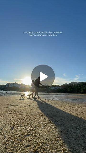 Whiskey and Bubbles - The Yorkie Siblings on Instagram: "Everybody’s got their little slice of heaven, 
mine’s on the beach with them 💙
#sliceofheaven #beachday #beachlife #beachdog #mypack"
Beach Reels Idea Slice Of Heaven, Dog Videos, Dog Beach, July 7, Dog Gifs, Beach Life, Beach Day, Yorkie, Whiskey