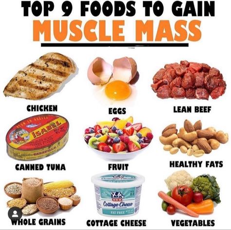 Muscle Building Meals, Healthy Weight Gain Foods, Food To Gain Muscle, High Protein Food, Weight Gain Supplements, Muscle Building Foods, Gain Muscle Mass, Weight Gain Meals, Protein Food