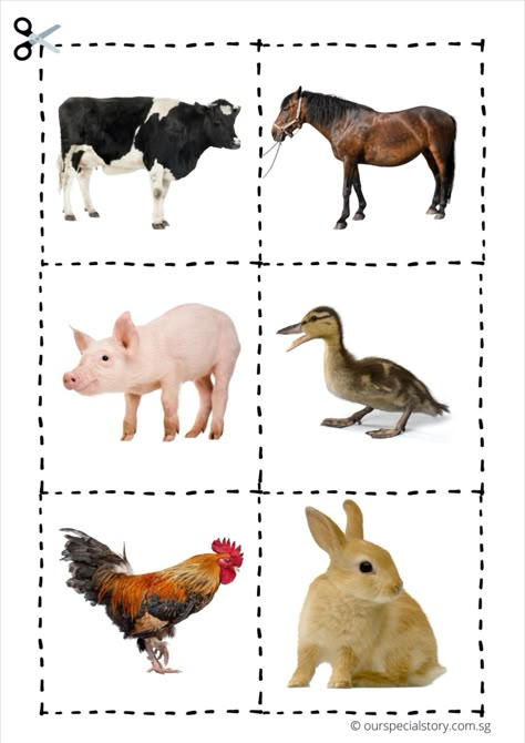 The ability to match is a fundamental skill to many concepts. It is also essential to language development when a child is learning to read or write. In this printable, your child will learn to attend to the details of each farm animal by comparing their different features. 3rd Worksheets, Printable Farm Animals, تصنيف الحيوانات, Farm Animals For Kids, Farm Animals Activities, Preschool Activities Printable, Kindergarten Classroom Decor, Animal Printables, Apple Activities