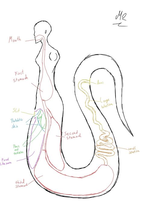 Naga Anatomy, Centaur Anatomy, Maya Art, Rpg Ideas, Drawing Prompts, Monster Concept Art, Fantasy Creatures Art, Concept Art Drawing, Mythical Creatures Art