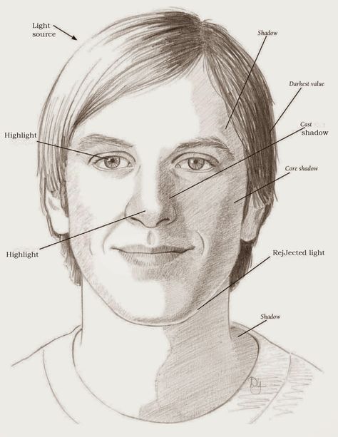 Drawings: LEARNING THE PLANES OF THE FACE Drawing Faces For Beginners, Shading Faces, Shadows Drawing, Planes Of The Face, Plane Drawing, Shading Drawing, Shadow Face, Shadow Drawing, How To Shade