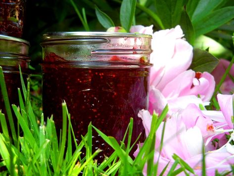 Strawberry Peony Jam recipe ( made with real Peonies, and yes they're edible flowers) Peony Syrup, Peony Jam, Backyard Planting, Flower Recipes, Baby Rabbits, Canned Fruits, Jam Recipes Homemade, Canned Vegetables, Fruit Preserves