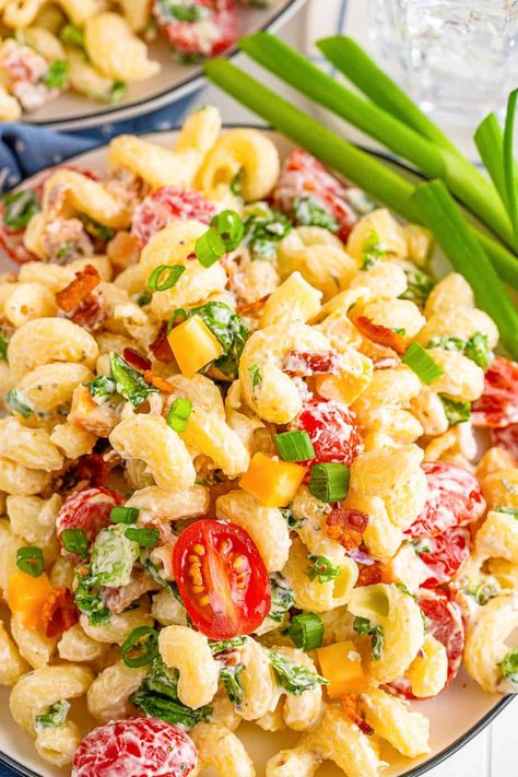 Zoomed in of creamy bacon ranch pasta salad on a plate with a bowl of pasta salad in the background. Ranch Pasta Salad Recipes, Salad Ranch, Crunchy Onions, Tuna Pasta Salad Recipes, Bacon Ranch Pasta, Pasta Side, Bacon Ranch Pasta Salad, Creamy Pasta Salads, Kids Plate