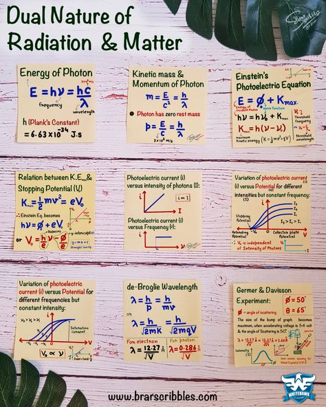 Lean all important formulas and graphs of Dual Nature of Matter & Radiation (Physics: Class 12th) from these cheat sheats … very useful for preparation of Board Exams, NEET & IIT-JEE #neetexam #physics #class12 #studying #studytips #studygram #notes #cheatsheet #stemeducation #stem Modern Physics Formula, Nuclei Physics Notes, Physics Neet Formula, Physics Notes Class 12 Alternating Current, Flashcards For Neet, Physic Formula Notes, Modern Physics Notes, Neet Ug Notes, Dual Nature Of Radiation And Matter Notes