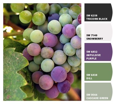 grape tones Color Uva, Bunch Of Grapes, Wine Event, Pastel Decor, Grape Bunch, Colour Schemes, Color Pallets, The Tree, Raisin