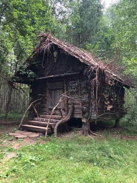 Small Cabin In Woods, Wooden Shack, Witch Hut, Supraviețuire Camping, Tiny House Company, Wooden Hut, Forest Cottage, Forest Cabin, Wooden Cabins