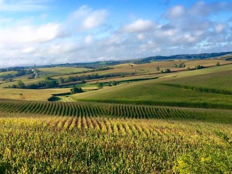 Iowa Farmland, Iowa Landscape, Midwest Aesthetic, Iowa Farms, Reasons To Stay, Chair Art, Scenic Pictures, Midwest Travel, Money Stacks