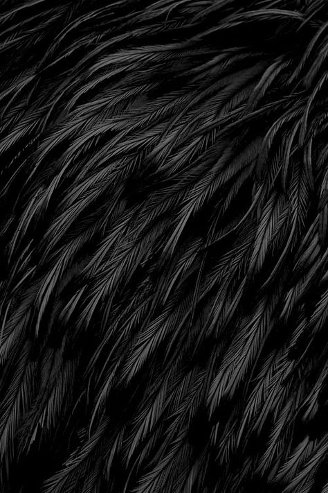 Feather Texture, Yennefer Of Vengerberg, Fur Texture, Black Gold Jewelry, Most Beautiful Wallpaper, Black Phone Wallpaper, Black Wallpaper Iphone, Black Feathers, Black Textures