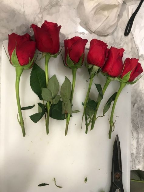 Ordering a Christmas Centerpiece with roses from a florist will cost close to a hundred dollars. I make mine for about $17. a piece. I make several to give to family and friends. It also makes a really nice hostess gift. I get my roses from Global Rose.com and they were $83.00 for 100 medium stem red roses. You can pick the exact delivery date. Amazon also sells for global rose.com This is the finished centerpiece Start out with a plastic tray from dollar store. A brick of floral w… Christmas Centerpieces For Table Elegant, Taper Candle Centerpiece, Diy Christmas Centerpiece, Modern House Numbers Sign, Diy Scent, Old Mirrors, Diy Candles Scented, Christmas Table Centerpieces, Christmas Centerpieces Diy