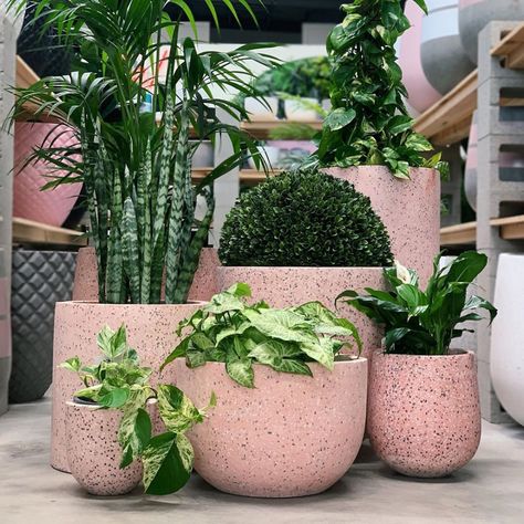 High Quality Cylinder Shape Terrazzo Flower Pots Planters With 4 Different Sizes For Indoor And Outdoor Decoration - Buy Terrazzo Pots,Terrazzo Planter,Cylinder Plant Pot Product on Alibaba.com Diy Planters Pots, Mexican Restaurant Design, Terrazzo Planter, Pink Terrazzo, Pots Garden, Pots For Plants, Flower Pot Garden, Concrete Planters, Cylinder Shape