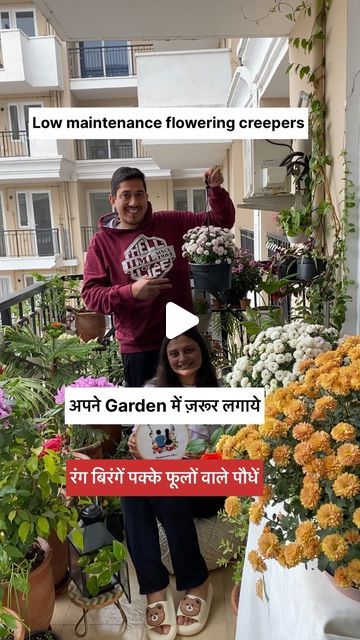 Botanical House 🦋 on Instagram: "Perfect permanent flowering creepers for your garden.  🎶FOR MORE INSPIRATION HOME & GARDEN DECOR & DIY PLANT CARE GUIDE BE CONNECTED WITH US @mothernaturemellows 👩‍🌾🪴👨‍🌾  #gardeningtips #gardeningvideos #hacks #gardenhacks #gardendiy #soilislife #tipsandtricks #tips #flowervine #vines  #flowers" Flowering Creepers, Botanical House, Creepers Plants, Vines Flowers, Plant Care Guide, Garden Decor Diy, Home Garden Decor, Flowering Vines, Diy Plants