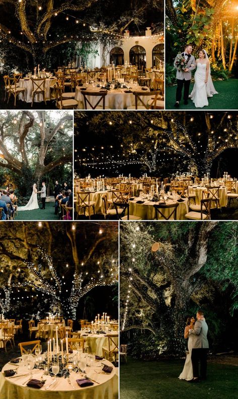 Magical Garden Fairytale Wedding at Villa Woodbine in Florida #magicalweddinglights #weddinglightsreception #hangingweddinglights #gardenweddinglights #enchantedgardenwedding #secretgardenwedding Fair Garden Wedding, Botanical Garden Wedding Florida, Enchanted Forest Wedding Venue Fairytale, Fairytale Wedding Theme Indoor, Forest Wonderland Wedding, Whimsical Enchanted Forest Wedding, Whimsical Fairytale Wedding Theme, Nighttime Forest Wedding, Fairytale Whimsical Wedding