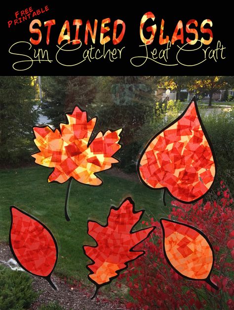 Leaf Stained Glass Craft, Fall Leaf Stained Glass Craft, Leaf Sun Catcher Craft, Leaf Tissue Paper Craft, Leaf Sun Catchers For Kids, Tissue Paper Leaf Craft, Contact Paper Stained Glass Craft, Kindergarten Leaf Craft, Fall Sun Catchers For Kids