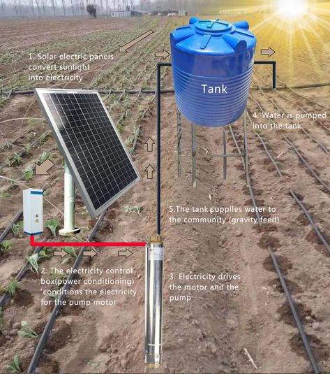 Farm agriculture irrigation sprinkler system deep well solar panel powered water pump drip irrigation Kit https://m.alibaba.com/product/1600541582262/Farm-agriculture-irrigation-sprinkler-system-deep.html?__sceneInfo={"cacheTime":"1800000","type":"appDetailShare"} Farm Irrigation System, Garden Water System, Witchy Mansion, Irrigation System Design, Water Irrigation System, Irrigation System Diy, Irrigation Methods, Water Pump System, Farm Agriculture