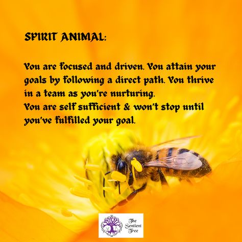 Spirit animal Bee Spirit Animal Meaning, Bumblebee Spirit Animal, Queen Bee Meaning, Bee Totem, Bee Symbolism Meaning, Bumble Bee Spiritual Meaning, Bee Spiritual Meaning, Bee Spirit Animal, Animal Totem Spirit Guides