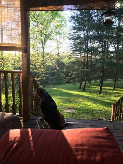 Morning Porch Aesthetic, Reading On Porch Aesthetic, Back Porch Aesthetic, Front Porch Cabin, Front Porch Aesthetic, Porch Aesthetic, Porch Vibes, Dog Cowboy, Cozy Front Porch