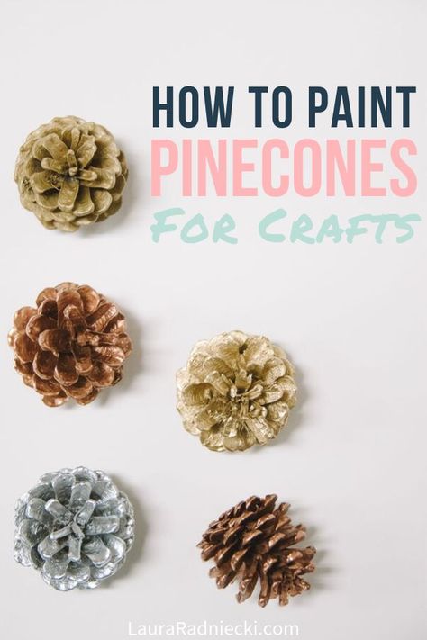 Here's how to paint pine cones for crafts and decorations using clean, dry pine cones and spray paint. Painted pine cones are great for use in home decor and pine cone crafts! #pinecones #crafts #pineconecrafts #spraypaint #lauraradniecki Spray Painting Pine Cones Diy, How To Paint Pinecones Diy, How To Paint Pine Cones, How To Clean Pinecones For Crafts, How To Paint Pinecones, Spray Paint Pine Cones, Painting Pinecones, Paint Pinecones, Pinecone Painting