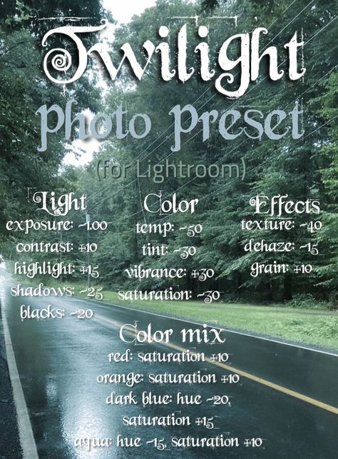 Instagram Filters Lightroom, Twilight Lightroom Preset, Grunge Preset Lightroom, Photoshop Picture Editing, Twilight Filter Wallpaper, Lightroom App Presets, Photo Filter Lightroom, Grunge Edit Photo, Twilight Vsco Filter