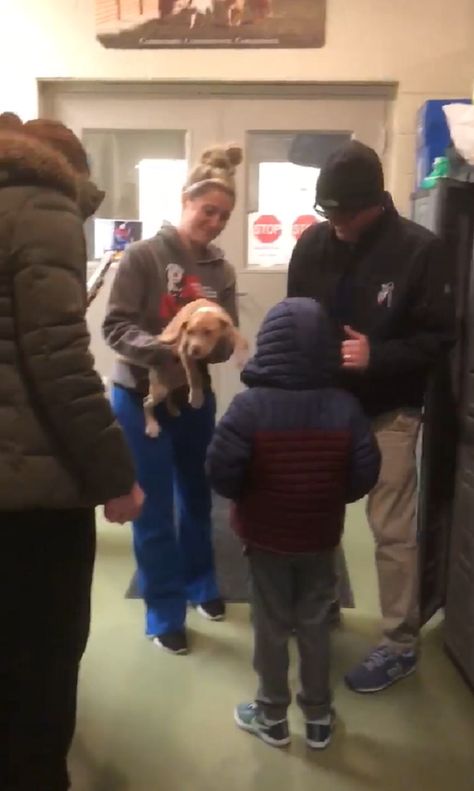 Little Boy Breaks Down When His Parents Surprise Him With Puppy - InspireMore Puppy Surprise, Nutty Buddy, Tiny Puppy, Tiny Puppies, Puppy Gifts, Happy Tears, Puppy Adoption, Waiting For Him, Beloved Dog