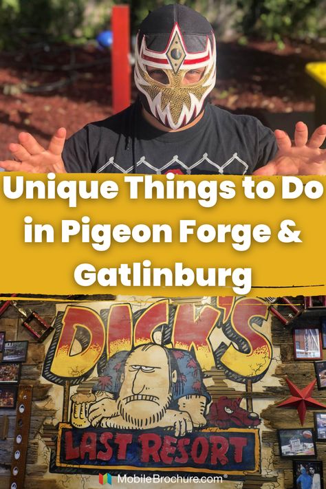 Uncover the quirkiest attractions in Pigeon Forge and Gatlinburg, where unusual experiences like micro wrestling and a parrot paradise await! Dive into a world of offbeat adventures, perfect for travelers seeking the extraordinary in Tennessee's top tourist destinations. #PigeonForge #Gatlinburg #UniqueAttractions #WeirdAndWonderful #TennesseeTravel Pirates And Mermaids, Gatlinburg Attractions, Gatlinburg Tennessee Vacation, Tennessee Road Trip, Southern Travel, Pigeon Forge Tennessee, Tennessee Travel, Magical Adventure, Pigeon Forge Tn