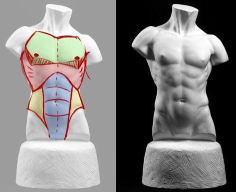 Drawing Male Anatomy, 남성 근육, Konst Designs, Male Figure Drawing, Man Anatomy, Výtvarné Reference, Anatomy Tutorial, Human Anatomy Drawing, Male Torso