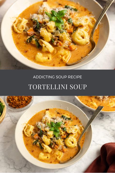 Tortellini Soup Veggie Tortellini Soup, Veggie Tortellini, Gf Soup, Vegetable Puree Soup, Ravioli Recipes, Holiday Soups, Diy Dish, Soup Chicken, Scrumptious Food